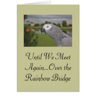 Rainbow Bridge - Click Image to Close